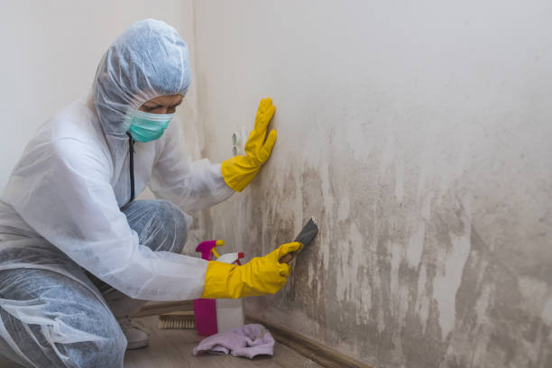 Best Crawl Space Mold Removal  in Maiden, NC