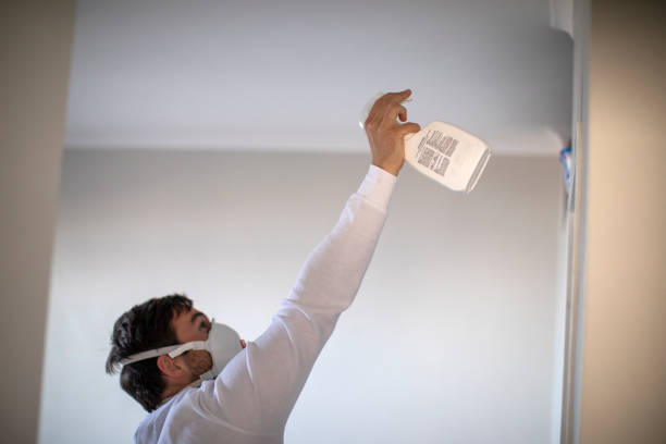 Best Attic Mold Removal  in Maiden, NC